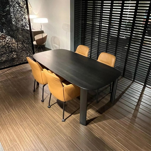 Leolux Gyon en Tico Gentle eetkamerset  200 x 100 cm (set van 4)