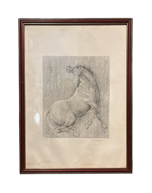 Francesco Messina Horse Lithograph, 1960s – schilderijen tekeningen, Paper, Figuratief