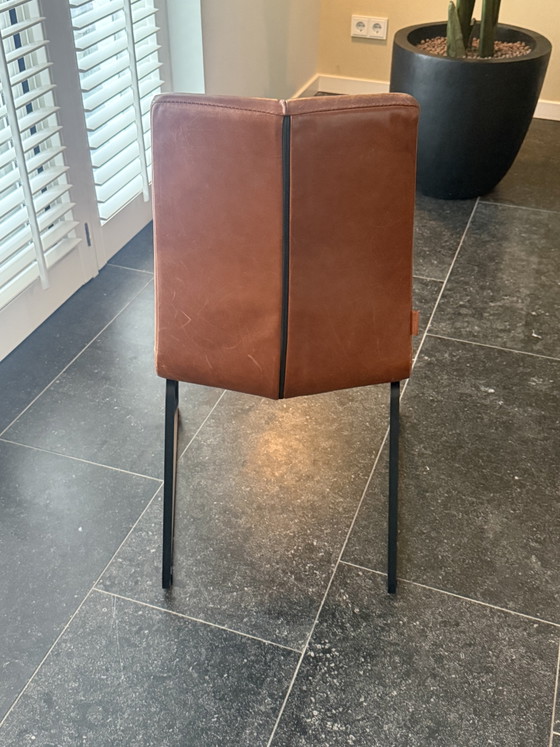 8 x Montis Ivy Sedia – Sedie da pranzo, Leather, Metal (photo 6 of 9)
