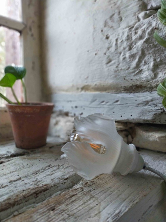 Image 1 of Baladeuse Tulipe en Verre Dépoli – Design Floral Vintage