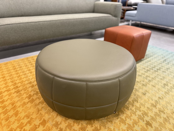 Image 1 of Design su Stock Barrell 80 Pelle basca Forrest