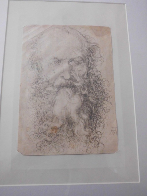 engraving Albrecht Dürer