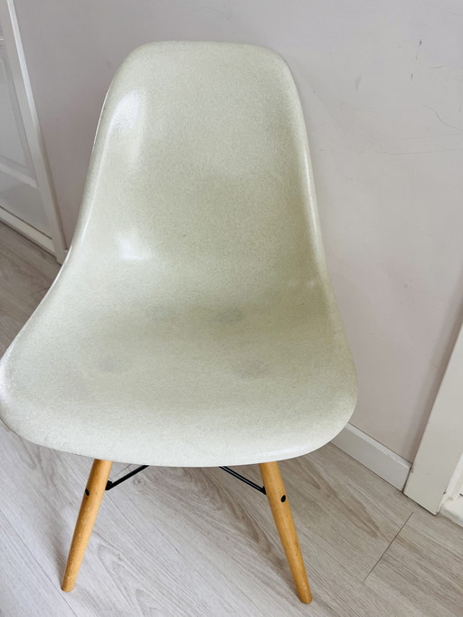 Vitra Eames muschio marino Herman Miller