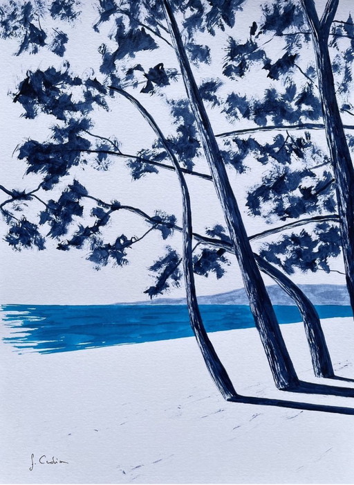 Oost-Indische inkt op wit fabriano papier 300g Onderwerp: Cap Coz Formaat 40x30 cm.