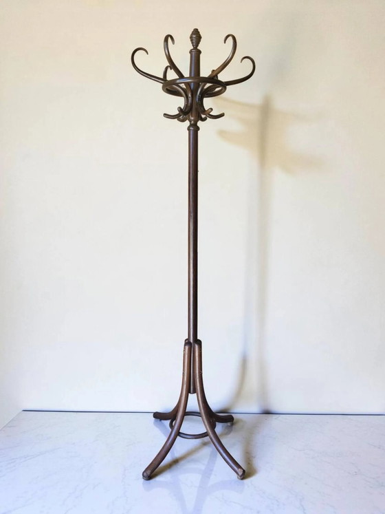 Appendiabiti a pappagallo in legno curvato di Thonet – Wood, Art Deco (photo 8 of 8)