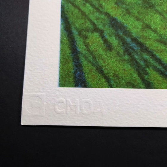 Image 1 of Lithographie en édition limitée « Fleurs » d'Andy Warhol par CMOA - 50 x 50 cm