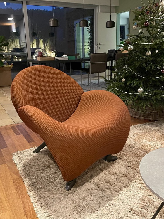 Image 1 of Leolux Papageno Sessel