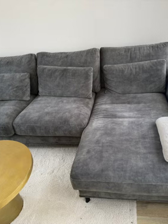 Sevn Loungebank Carmen – Hoekbanken, Metal, Velvet (photo 5 of 6)