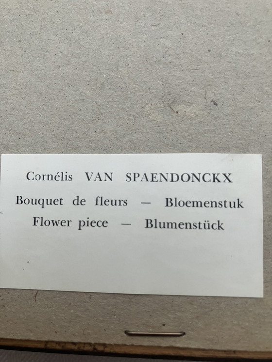 Image 1 of Set mit 2 klassischen Blumenstillleben – Pieter Faes & Cornelis van Spaendonck