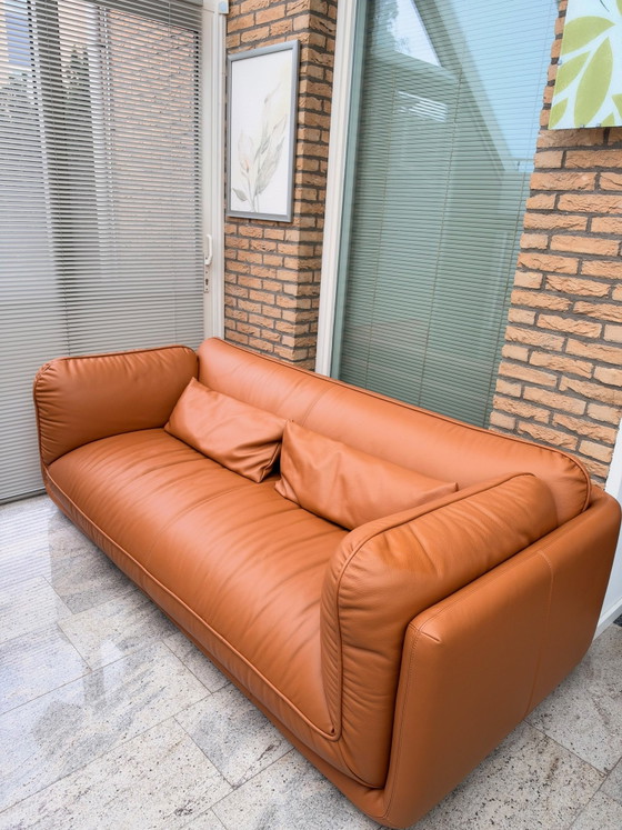 Leolux Lunetta, 3 posti, pelle Ceras 2510 Brandy – Divani 3 posti (photo 3 of 12)