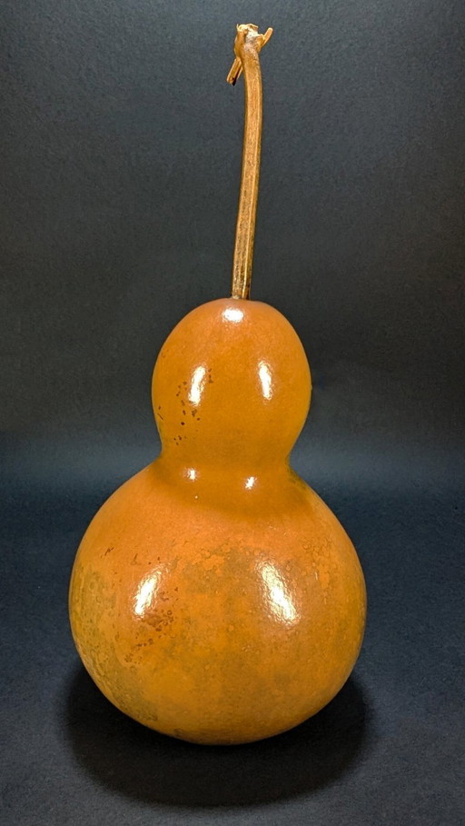 Große, antike, getrocknete Kalebasse – decoratieve objecten, Wood, Other