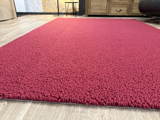 Image 1 of Bucles de Brink y Campman