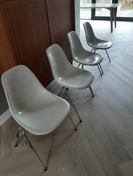 Image 1 of Sedie in fibra di vetro Original Eames