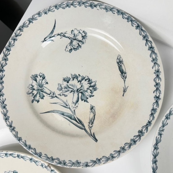 Image 1 of Set of 6 "Carnation" pattern dinner plates, KG Lunéville, ironstone, 19th century