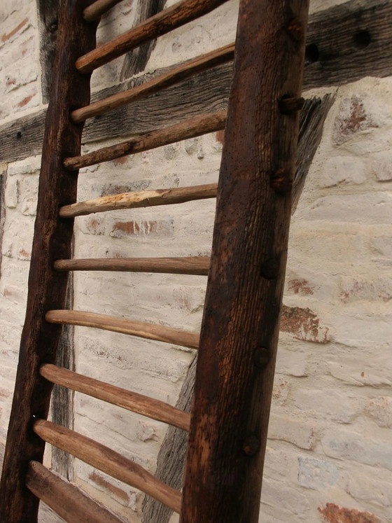 Old hay boat 30/40 – Coat racks, Wood, Vintage (photo 5 of 6)