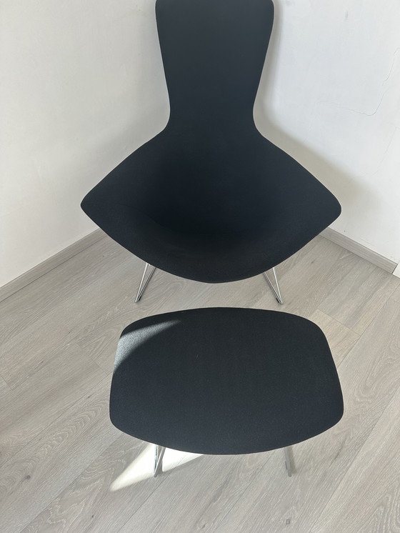 Image 1 of Fauteuil oiseau Knoll et pouf Bertoia