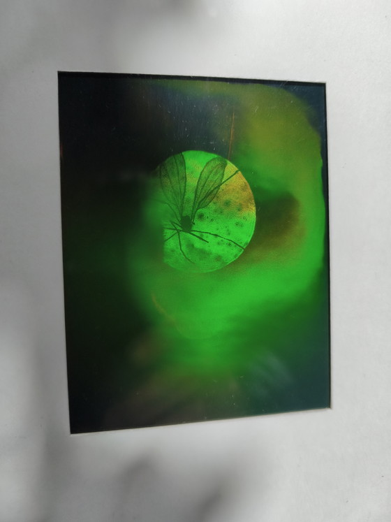 Image 1 of * Ingelijste Hologram van Microscoop met Mug *