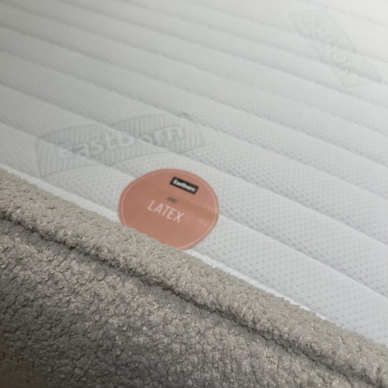 Image 1 of Prune Eastborn 180x200