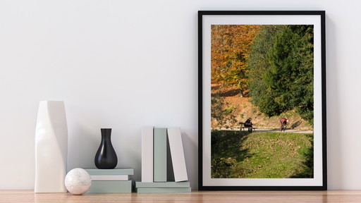 Varias fotografías / A todo color / Impresión profesional