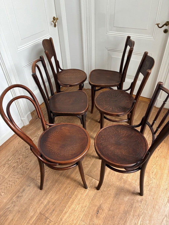 Image 1 of 6 Mixed Thonet chairs