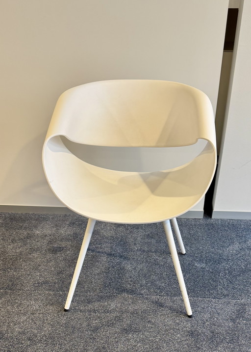 Chaises design Zucco Little Perillo 6