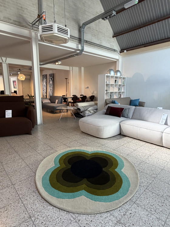 Image 1 of Brink e Campman Orla Kiely Girasole Olivo