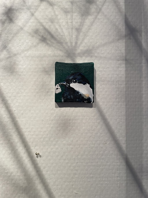 Peinture d'une mésange nonnette