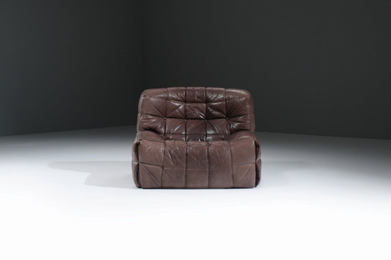 Image 1 of Atemberaubender, patinierter Kashima Lounge Chair (1982) von Michel Ducaroy - Ligne Roset