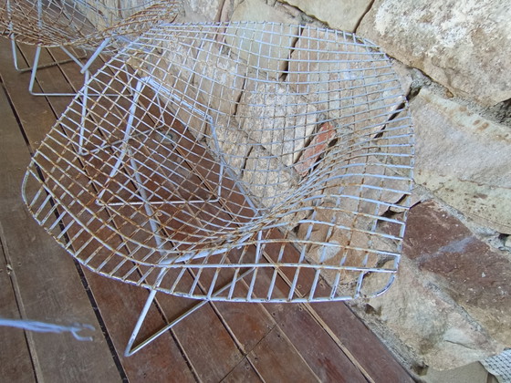 Image 1 of 3 Sedie Diamond Mod. 421 Harry Bertoia per Knoll -  Vintage da Restaurare