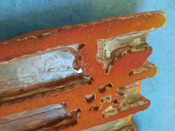 Image 1 of old wooden textile stamp