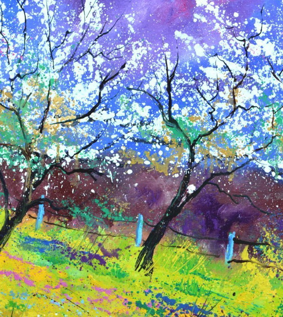 Image 1 of Frühling