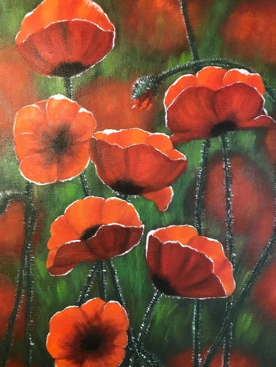 Image 1 of Pintura al óleo - Irina Gauss - Amapolas en verano