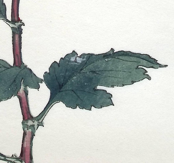 Keika Hasegawa - "One Hundred Chrysanthemums" – Paintings & Drawings, Paper (photo 7 of 8)