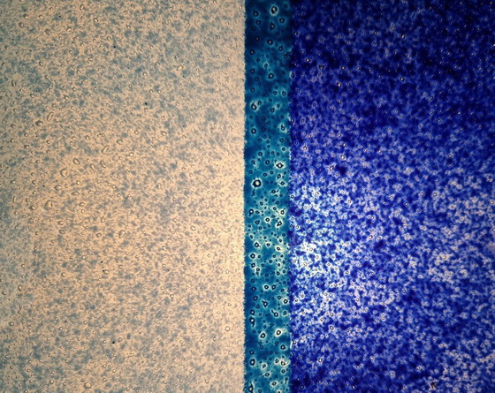 Image 1 of Lampada da parete "Gyllen" Julia Treutiger, IKEA, anni '90