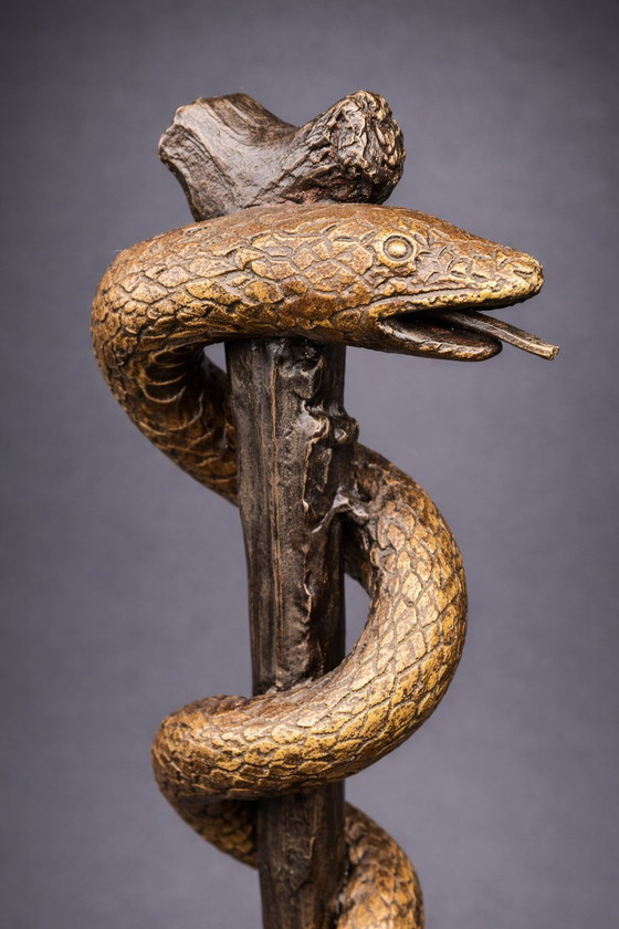 Image 1 of Bronzen Asclepius