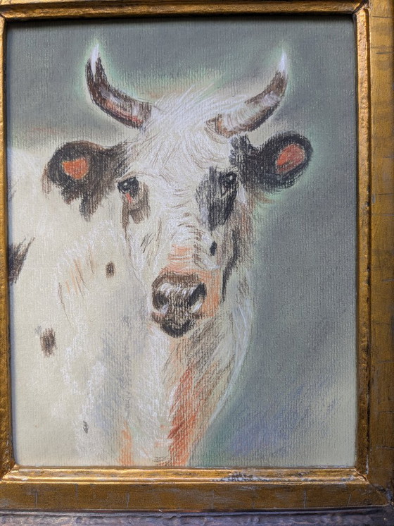 Image 1 of Studio di una mucca bianca, pastello su carta.