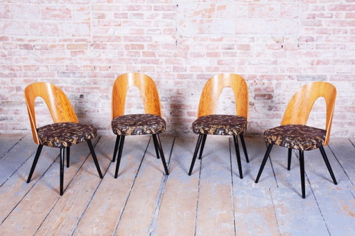 Set of Four Restored Mid-Century Chairs, Beech, Oak, Slovakia, 1950-1959 – Tatra Nábytok, eetkamerstoelen (photo 2 of 11)