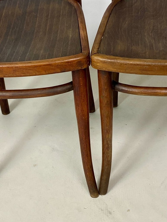 Image 1 of Juego de 4 sillas Thonet de madera de haya – Modelo n.º 651
