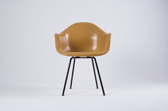 Image 1 of DAX Eames en fibre de verre – Light Ocre – Herman Miller / Vitra – circa 1965-1975