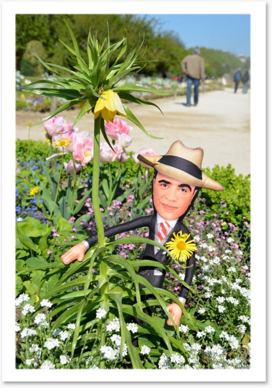 Image 1 of Al Capone cadeau | Al Capone decoratie | Al Capone verzamelpop | Speakeasy kunst