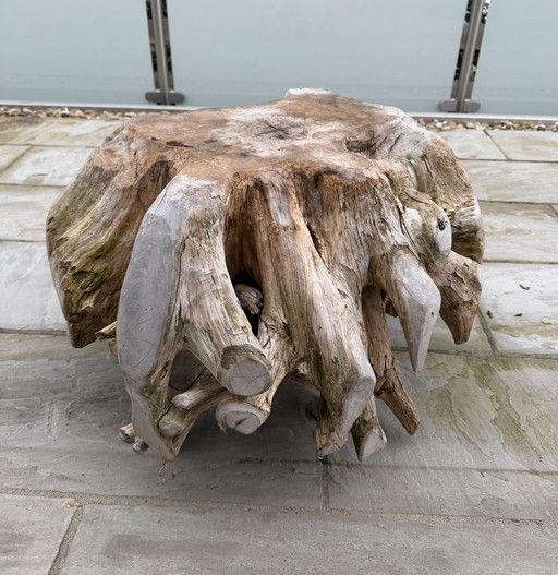 Design teak root unique coffee table