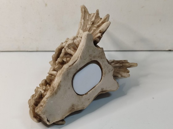 Image 1 of Hucha calavera Dragón (de resina)