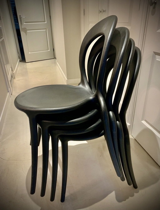 4 sedie da pranzo Galvano Tecnica