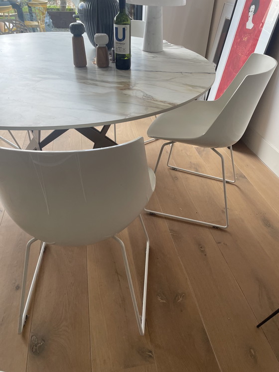 Image 1 of 4 MDF Italia Flow design eetkamer Stoelen