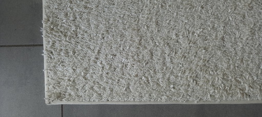 Rug carpet Van Besouw cotton 4.00/4.00 m