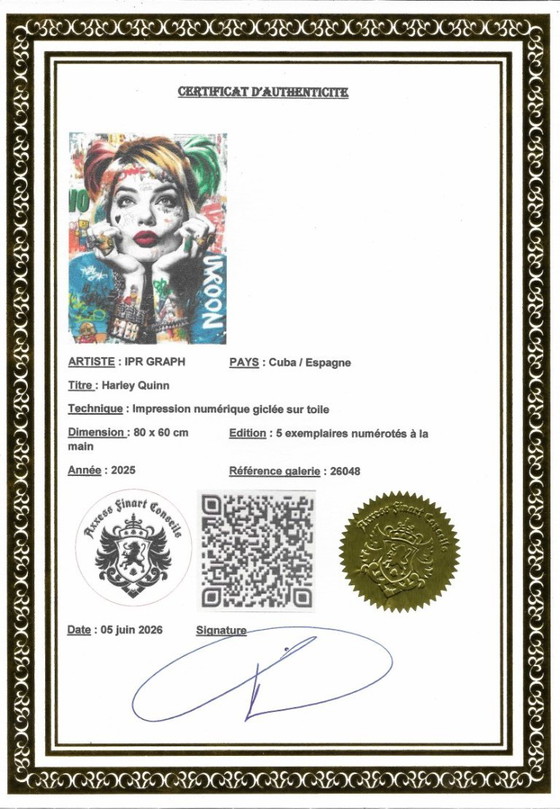 IPR GRAPH - Harley Quinn - Artist's Canvas – Lithographs & prints (photo 12 of 14)