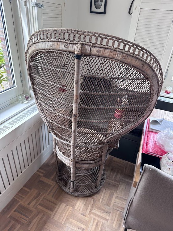 Image 1 of Vintage Pauw Fauteuil Van Rotan