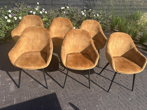 Sedie da pranzo Montel tipo Lopez 6 pezzi