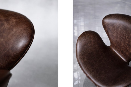 Image 1 of Poltrona Swan in pelle marrone danese vintage di metà secolo, realizzata da Arne Jacobsen per Fritz Hansen, 1958