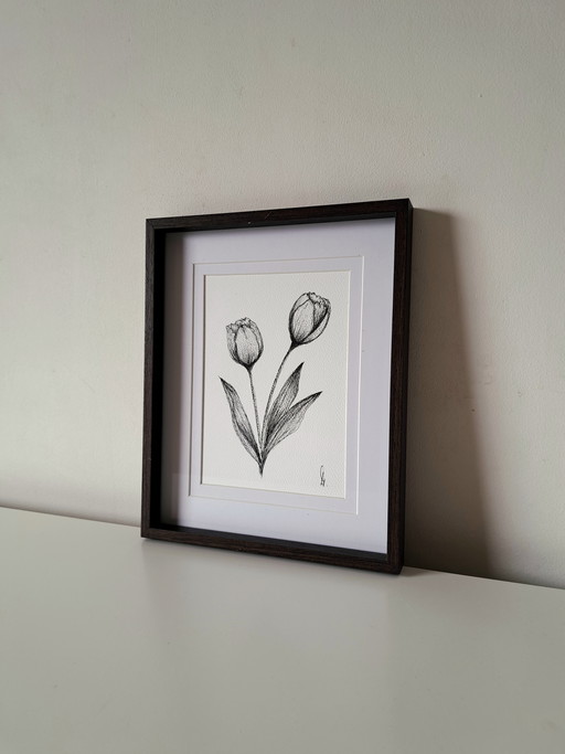 Original tulip illustration in frame